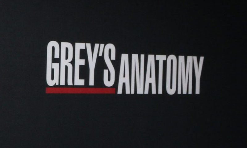 מעריצי "האנטומיה של גריי"? זו השחקנית שתחזור לסדרה