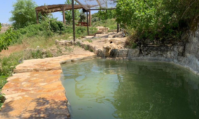 מחפשים מה לעשות בקיץ? בואו לטלמון!