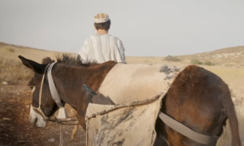 "רק שיפול לידיי רב חשוב, ואני אשבור לו את העצמות"