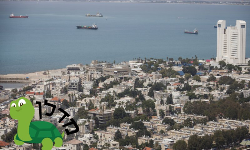 הכר את השכונה הסרוגה &ndash; נווה שאנן בחיפה