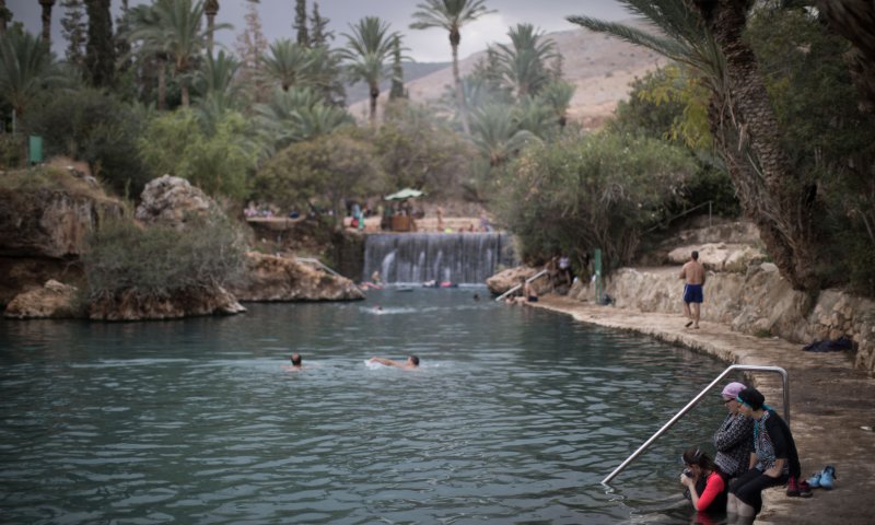 בהלת העכברת: זו הודעת הפייק ניוז שרצה ברשת