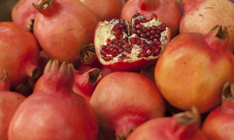 סימני ראש השנה: איך לבדוק אותם מחרקים?