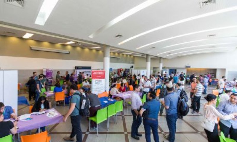 איפה הסרוגים עובדים וכמה הם מרוויחים? כל הנתונים