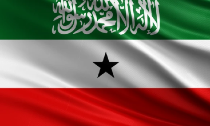 סומלילנד הואשמה בהסכמה להגירת עזתים, זאת תגובת הממשלה