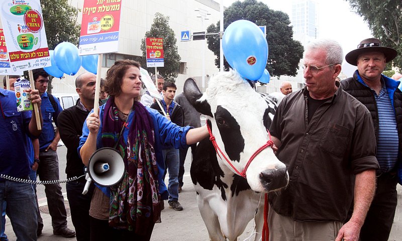 ״איבדנו את עצמנו לדעת לטובת הכסף״