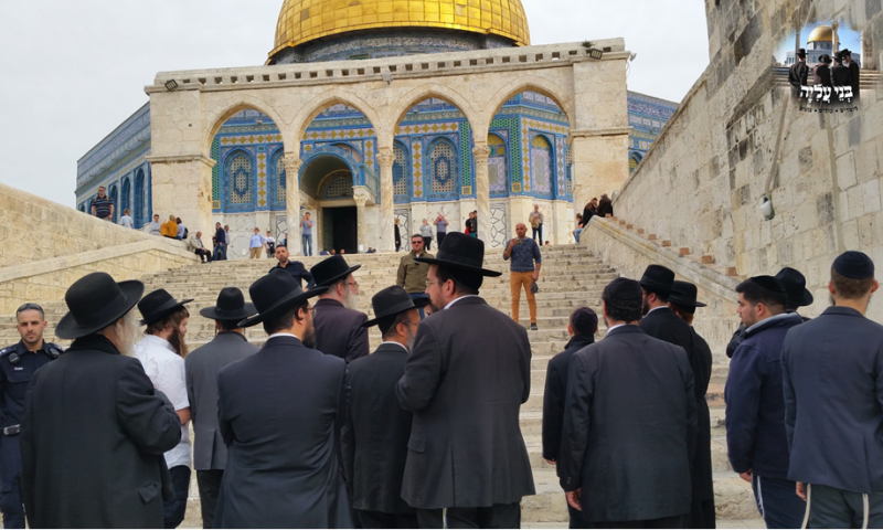 עשרות חרדים עלו להר הבית לע"נ הרב שטיינמן