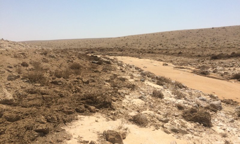 בהנחיית גילה גמליאל: נחל אשלים נפתח אחרי 3 שנים