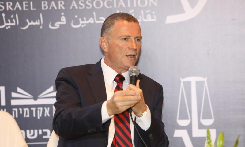 אדלשטיין: בגלל נתניהו יש כאן ממשלה שעושה נזקים