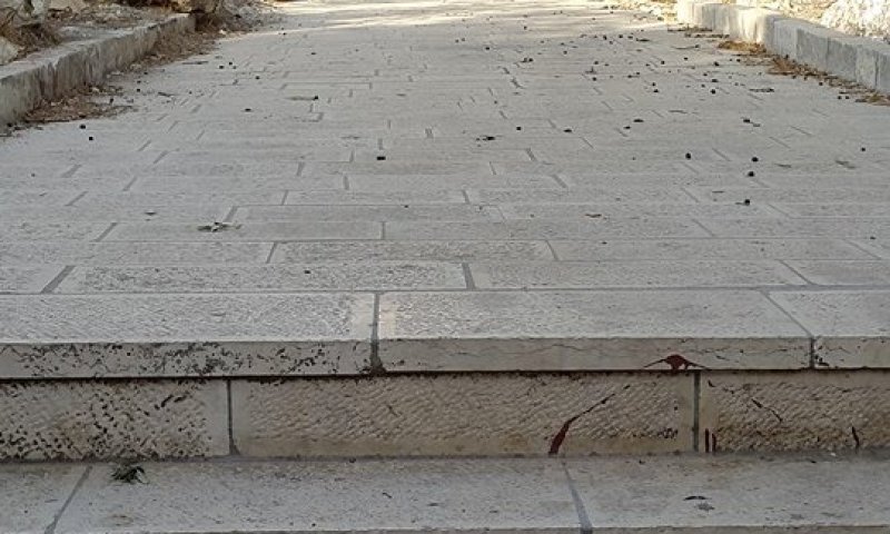 ברלין זה כאן: ערבים ריססו צלב קרס בהר הבית