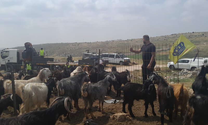 ההתנכלות נמשכת: הרס בגבעת אור מאיר בבנימין