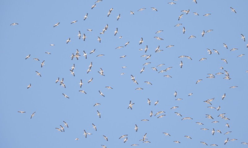 נמצאים באיזור הזה בארץ? תרימו עיניים למעלה