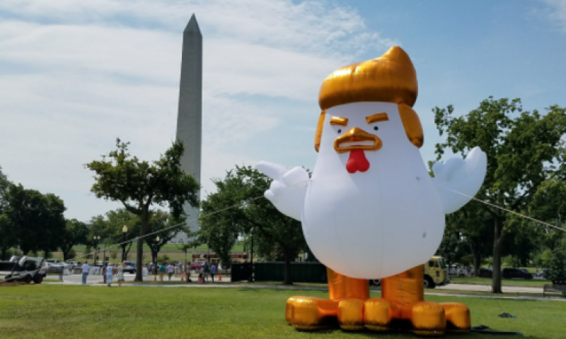 מי הציב תרנגול בדמות טראמפ בבית הלבן?