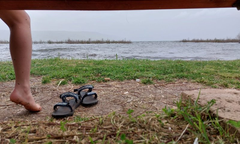 צאו לבלות: אטרקציות חינמיות בחג הפסח