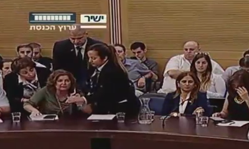 סערה בכנסת: 6 ח"כים נזרקו מדיון על חוק הלאום