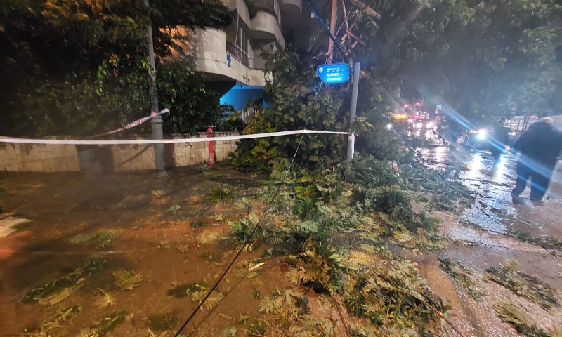 מנזקי הסערה: עץ קרס ופגע באדם בראשון לציון