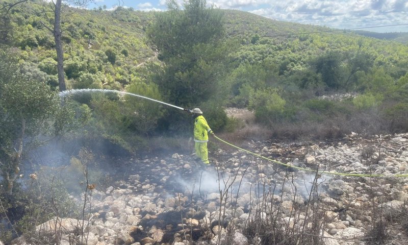 חשד להצתות מכוונות ביערות הכרמל: חשוד אחד נעצר