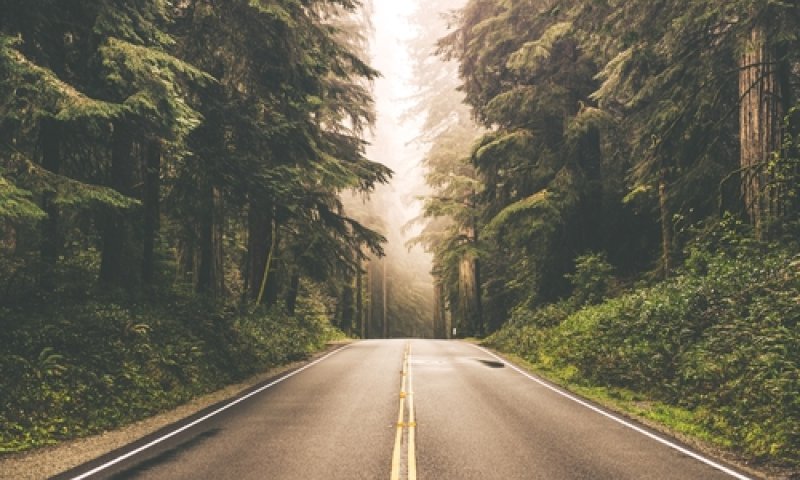 הדרך או היעד; מה יותר חשוב לכם?