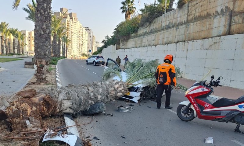 2 ילדים ואימם נפצעו מהתנגשות בעץ באשקלון
