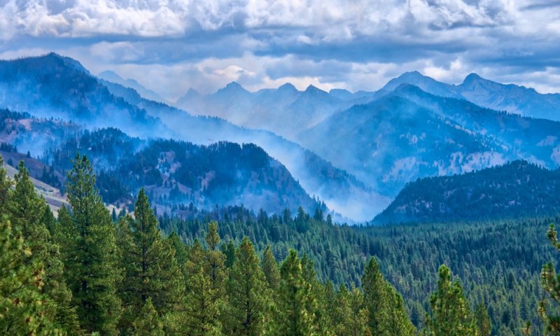מארב חריג בארה"ב: 2 כבאים נורו למוות לאחר שהוזעקו לשריפה