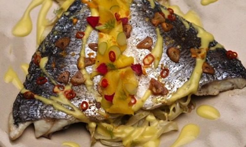 תשעת הימים: מתכון לדניס עם רוטב מנגו והדרים