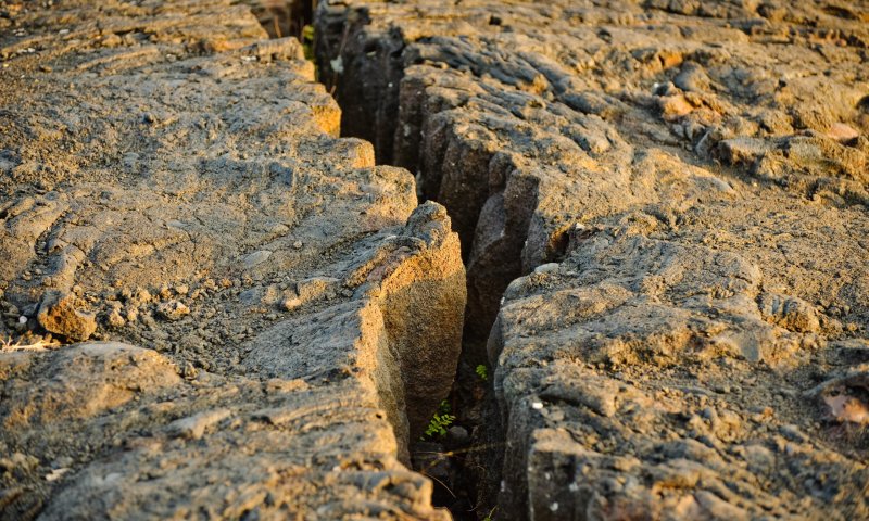 צפו: קצר על הפרשה | משה רבנו מונע מאינטרסים?