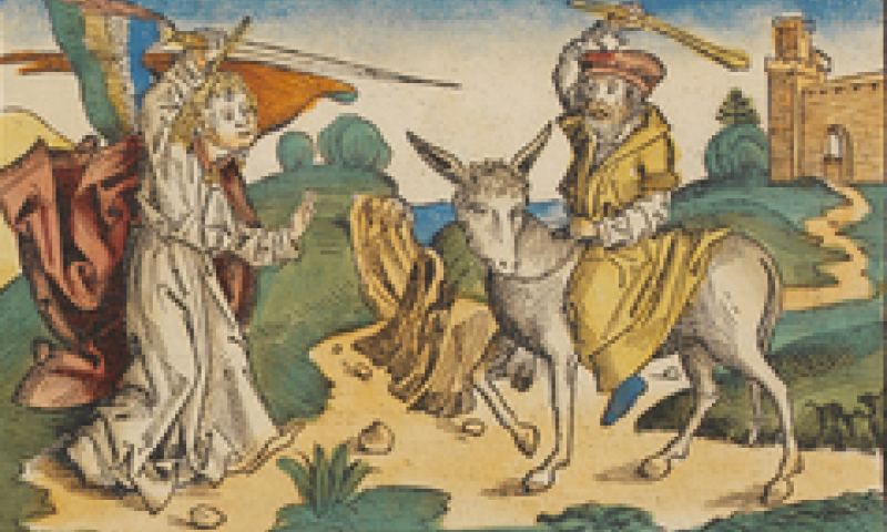 מה למד בלעם מאתונו, ומיהו המלאך הנצב בדרכו