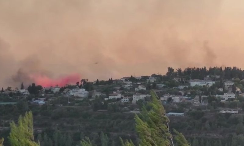 צפו: תיעוד ראשוני מהנזק הסביבתי של השריפה