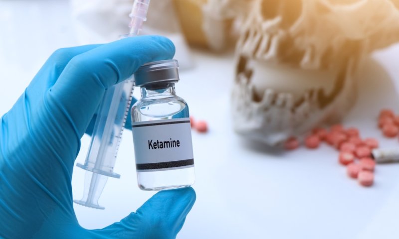 סוכל ניסיון הברחת סמים: 8 ק"ג קטמין נתפסו באריזות מצע חתולים