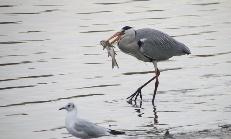 לא רק בצפון: מטיילים לאורך שבילי הירקון