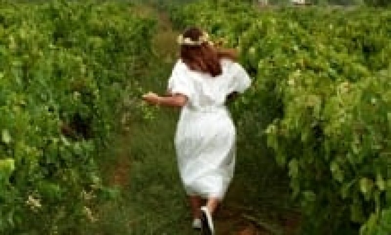 בלי שדכנית ובלי סבתא פולניה: שידוכין בשיווק אישי