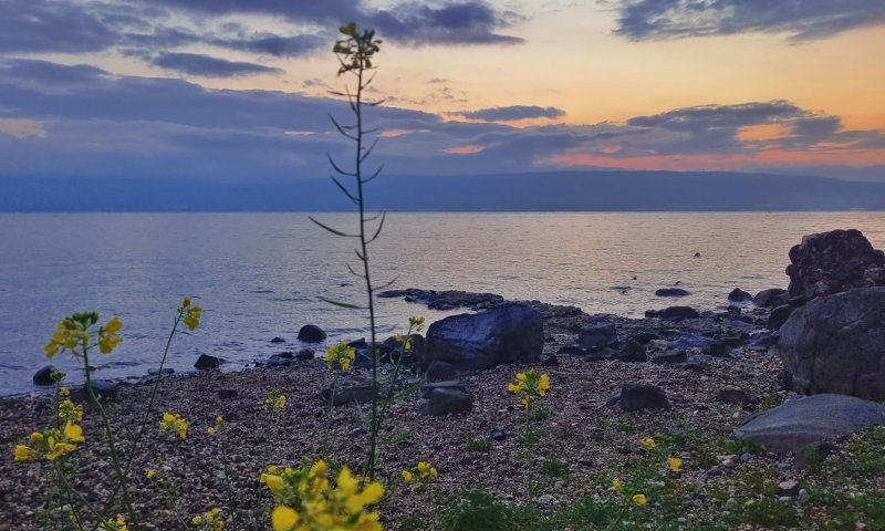 אחרי הסערה בשבת: מפלס הכנרת בבשורה מדאיגה