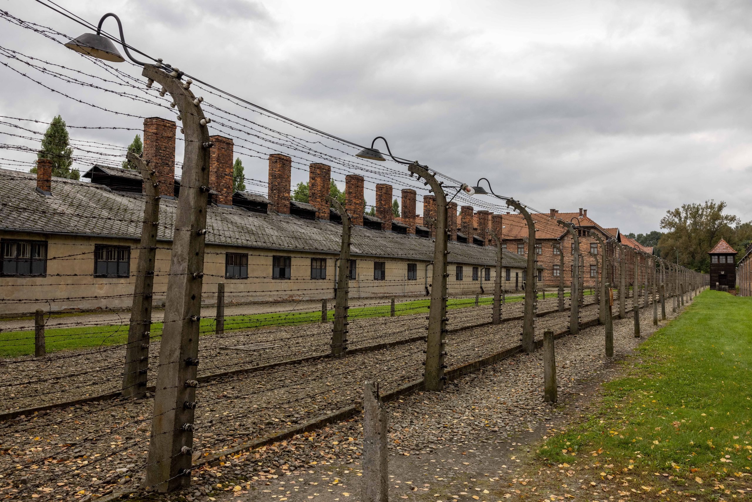 (צילום: Nati Shohat / FLASH90)