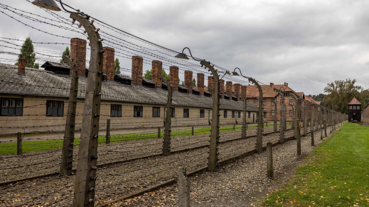 שואה על המסך הישראלי: המלצות צפייה ליום השואה תשפ