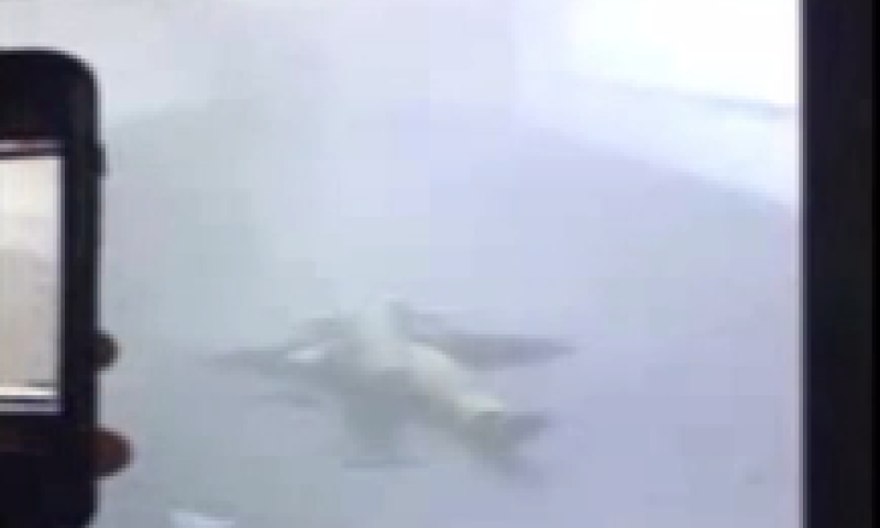 צפו: מחבל שנשא על גופו מטען מתפוצץ בניו יורק