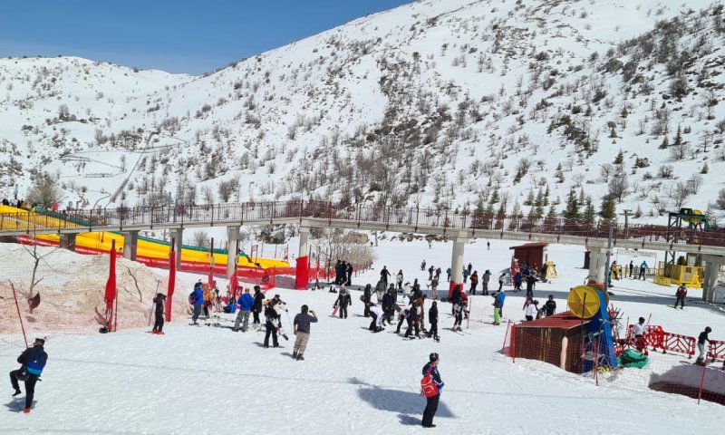 50 שנה בגובה 2040: אביב לבן באתר החרמון