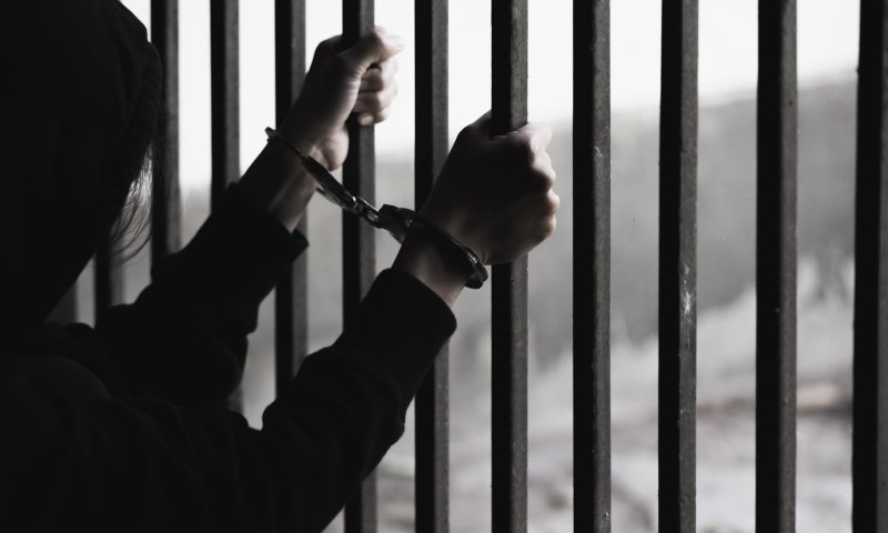 "חנינה" הוא ספר הביכורים של מאיה וקסלר, והוא מצוין