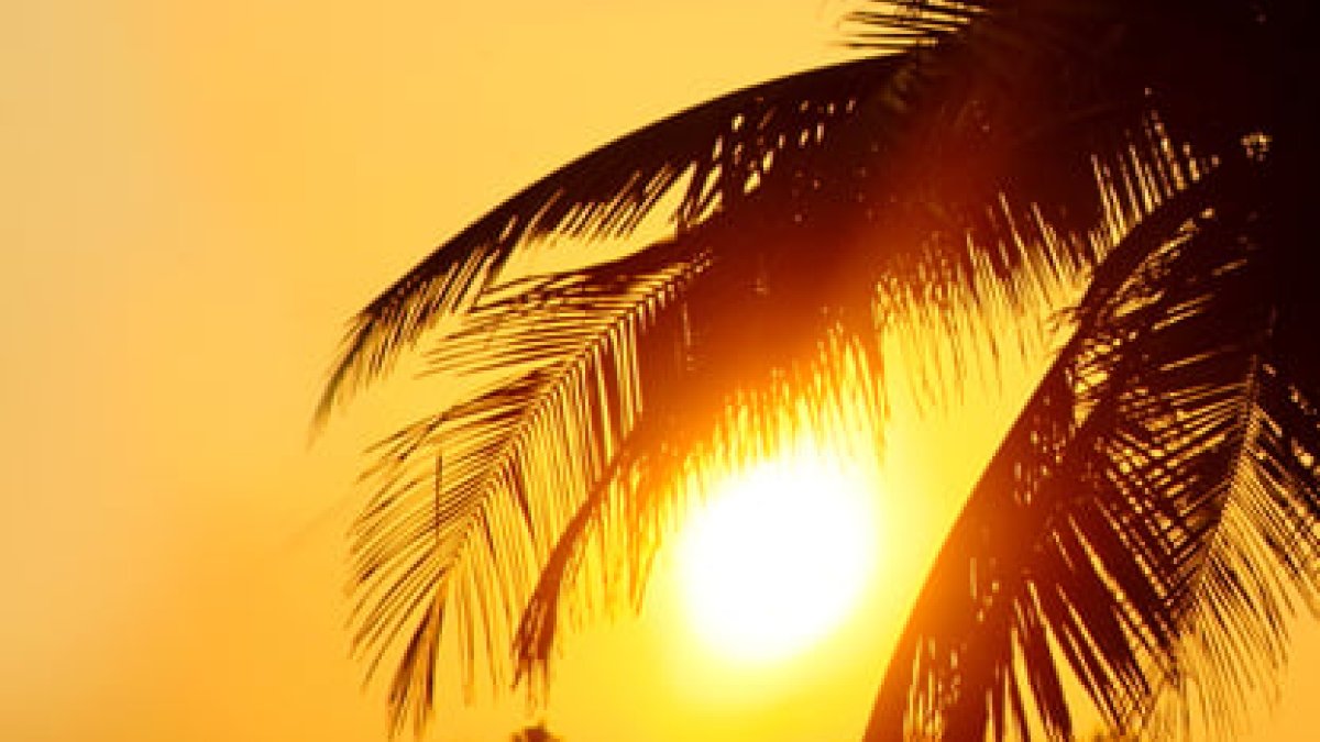 מהפך קיצוני; וטמפ' שלא נראו הרבה זמן. תחזית מזג אוויר - סרוגים