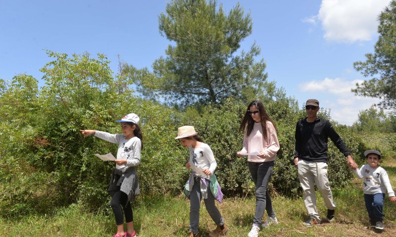 מה עושים באוגוסט? המדריך לחופש הגדול 2019
