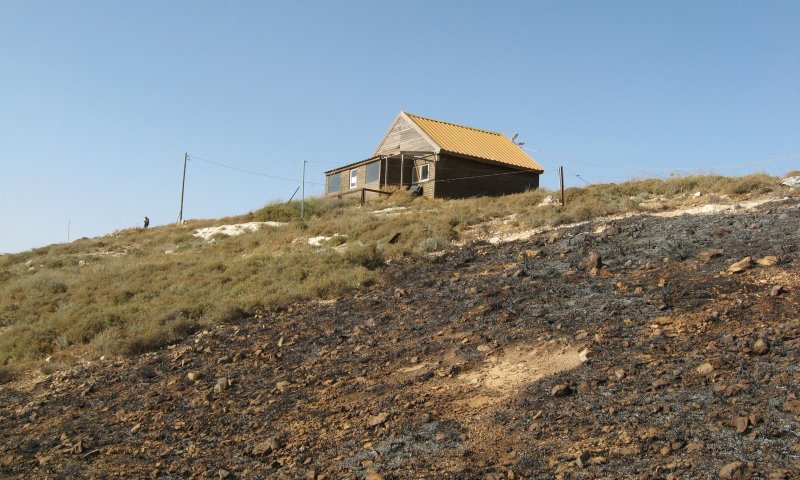 יצהר בוערת: ערבים הציתו שדות ומטעים בהתנחלות