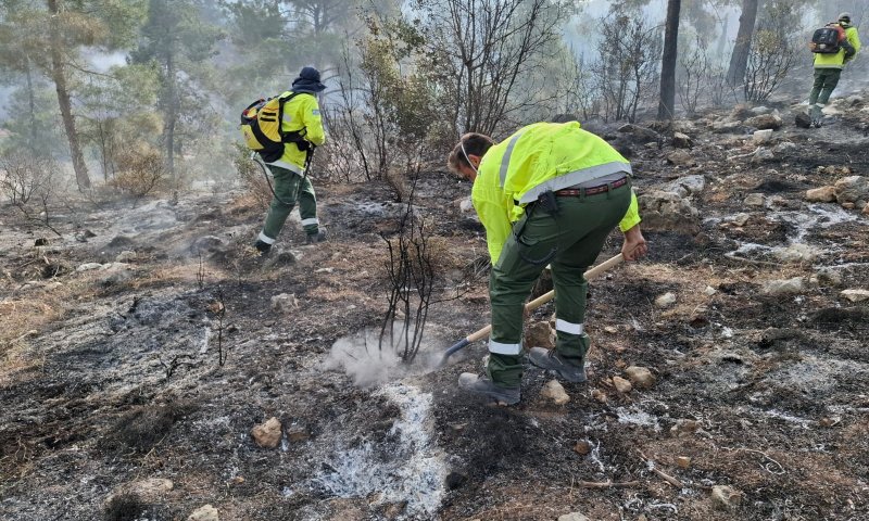 מחיר השריפות: עשרות אלפי דונמים של חורש עלו בלהבות