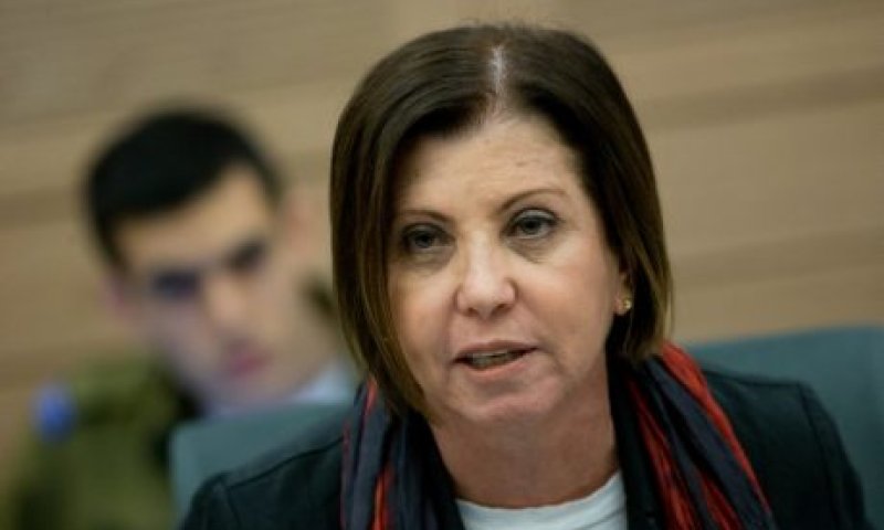 'שקר גס': האם כהונתה של זהבה גלאון קרובה לסיומה?