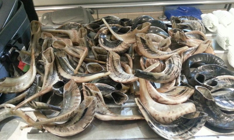 נתב"ג: סוכלה הברחת 53 שופרות ו-40 אתרוגים