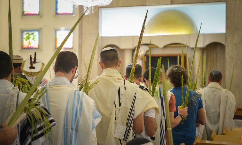 פנימיות בקטנה: איך לעורר שפע חסד בנענוע הלולב?