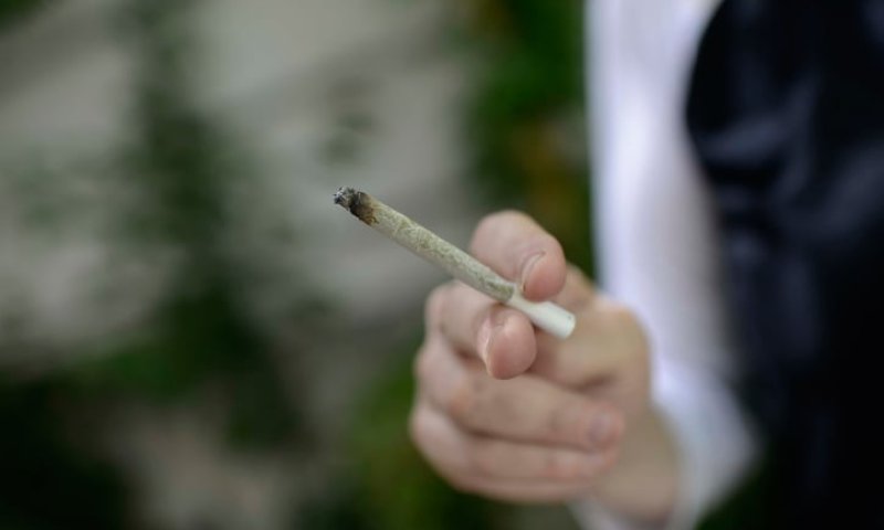 אחרי הסערה: אושרה הקמת ועדת הקאנביס