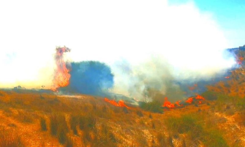 שריפות ובלוני נפץ | צפו: עוטף עזה בוער