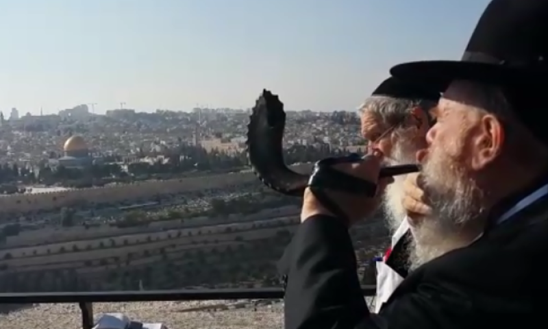 צפו: מזכיר 'הסנהדרין' סופר שנה שנייה ליובל