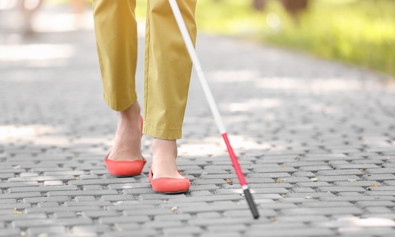 פלסטיני קיבל אישור עבודה ושדד ניצולת שואה עיוורת