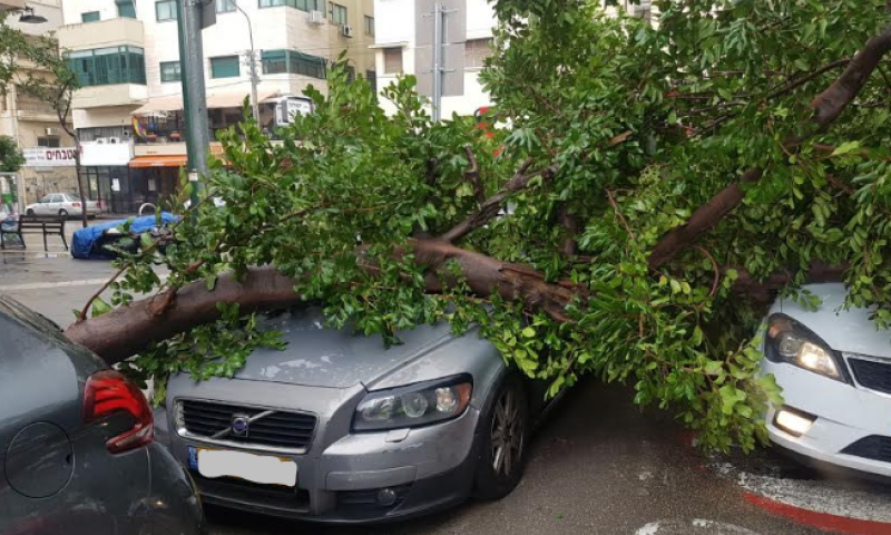 הצפות, שטפונות קריסת עצים ושלג בחרמון