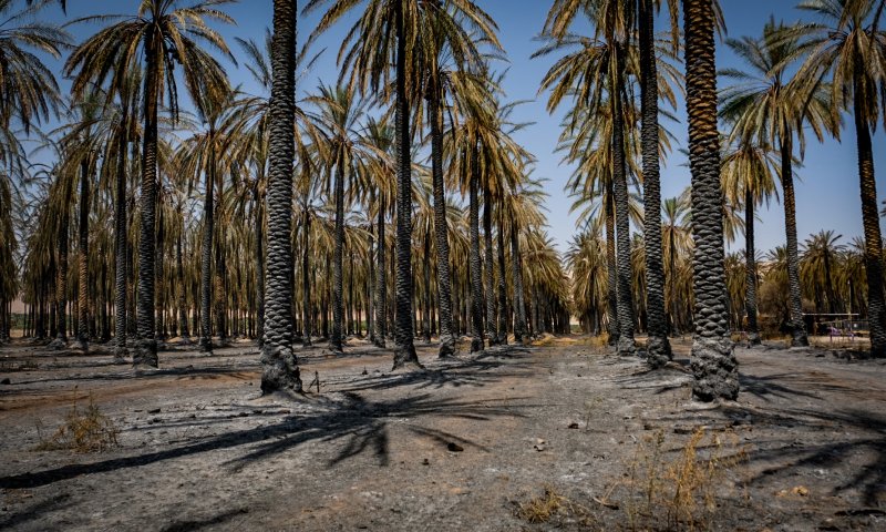 נעצר חשוד יהודי ברצח הגבר בבקעת הירדן