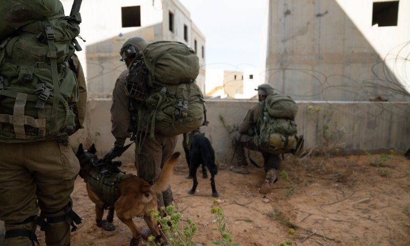 מחר: תרגיל נרחב של צה"ל בנגב ובערבה